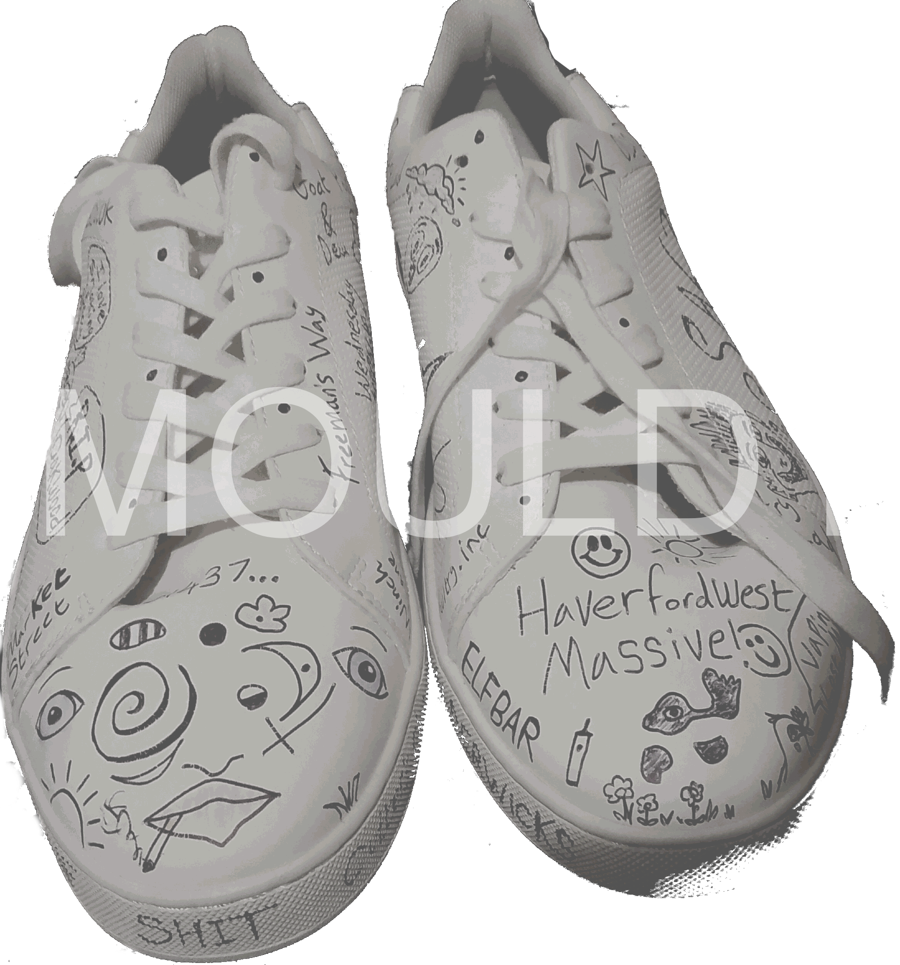 Poultry Shoe
